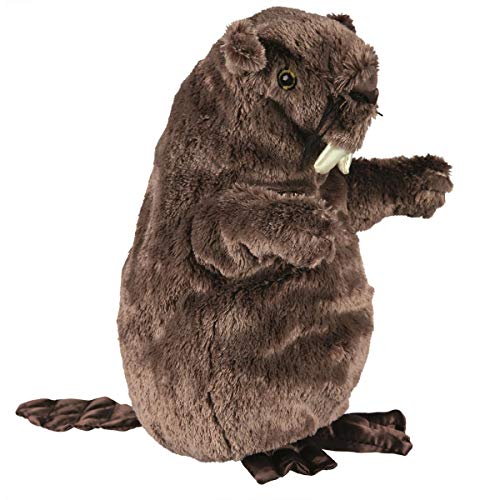 Trixie Beaver Hundespielzeug aus Plüsch, 27 cm, verschiedene Designs/Modelle Trixie Beaver Hundespielzeug aus Plüsch, 27 cm, verschiedene Designs/Modelle von TRIXIE