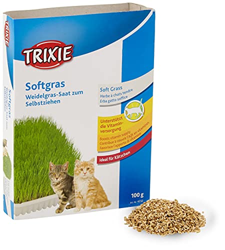 TRIXIE Softgras für Katzen - Gras-Saat zum frischen Selbstziehen - reich an Vitaminen - 100g - 4232 TRIXIE Softgras für Katzen - Gras-Saat zum frischen Selbstziehen - reich an Vitaminen - 100g - 4232 von TRIXIE