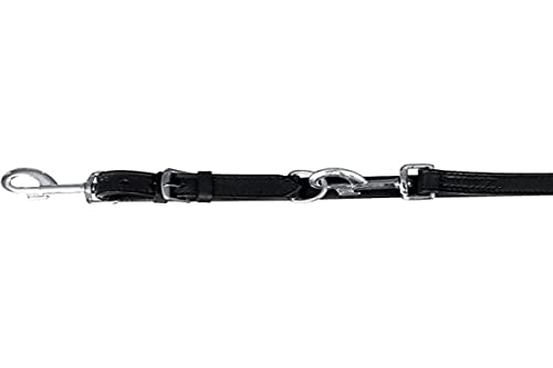 TRIXIE Verstellbare Hundeleine, L/XL 2,50 m/22 mm, schwarz, Small/Medium, 4011905180311 von TRIXIE