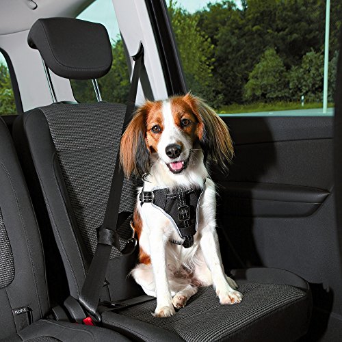 Trixie, Auto-Geschirr Dog Protect schwarz S-M von TRIXIE