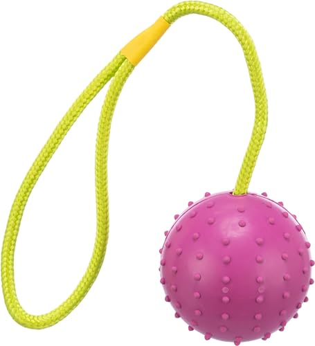Trixie Ball am Seil, Naturgummi, ø 7/30 cm, pink/lime, Hundespielzeug, Apportieren, Tauziehen von TRIXIE