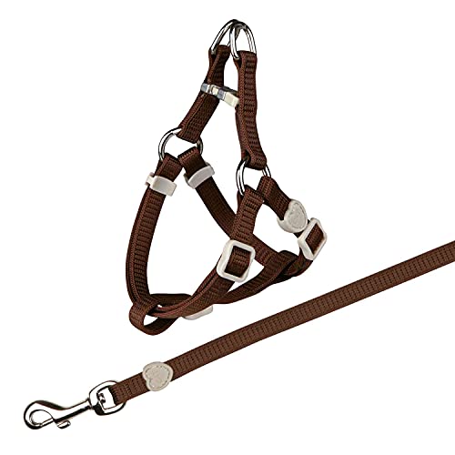 Trixie 41891 Katzengeschirr mit Leine, Nylon, 26–37 cm/10 mm, 1,20 m von TRIXIE