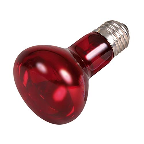 Trixie 76095 Infrarot Wärme-Spotlampe, ø 63 × 100 mm, 50 W, Black Trixie 76095 Infrarot Wärme-Spotlampe, ø 63 × 100 mm, 50 W, Black von TRIXIE