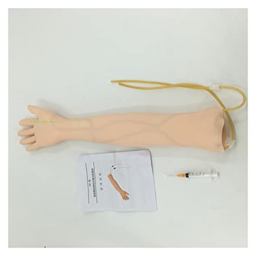 Anatomischer Phlebotomie-Venenpunktions-Übungs-Arm-Anatomie-Übungs-Arm-Anatomie-Injektionspraxis-medizinischer Simulator-Krankenschwester-Trainings-Kit in Lebensgröße(A) von TRKKXV