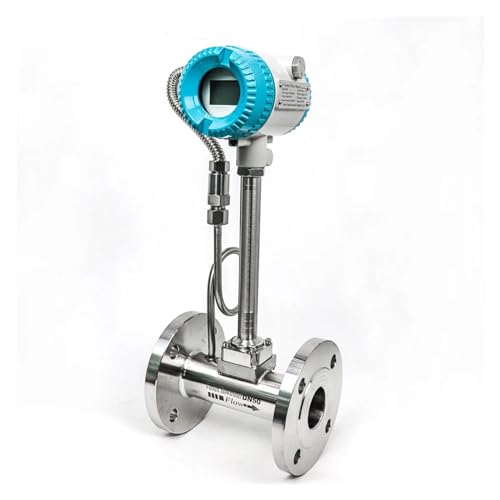 Wasserdurchflussmesser Sattdampf-Durchflussmesser 2-Zoll-Rohr DN50 Durchflussmesser Mit Totalisator 4-20 MA(DN25) von TRKKXV