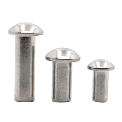 10–50 Stück 304 Edelstahl-Rundkopfniete M0.8 M1 M1.2 M1.4 M1.6 M2 M2.5 M3 M4 M5 M6 Legierung Selbststeckniete GB867(M2.5 50pcs,12mm) von TROIOIUM