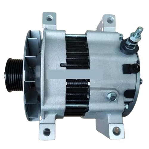24V Lichtmaschine 101211-8130 1855294 554026RI CAL40620 101211 81302871A703 for KATZE Cat330B 336D C27 C13 C15 C7 C18 C9 24V Lichtmaschine 101211-8130 1855294 554026RI CAL40620 101211 81302871A703 for KATZE Cat330B 336D C27 C13 C15 C7 C18 C9 von TROJTBUHQ