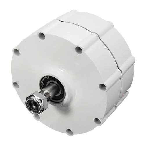 3000W PMG Magnet Generator 2,5 KW 3KW 5KW 12V 24V 48V for Wind Power Wasser Lichtmaschine niedrigen DREHZAHLEN for Energie System(No base,SINGLE SHAFT_24V_3000W) von TROJTBUHQ