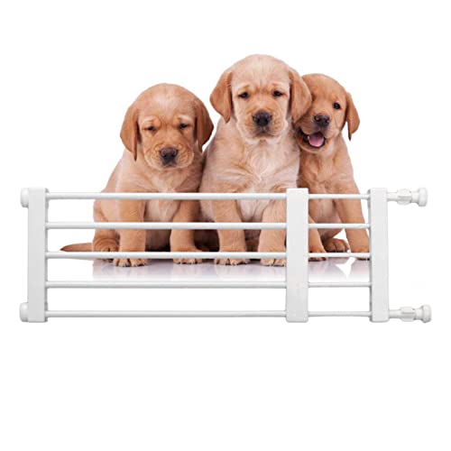 Kurzes Hundetor | Einziehbares, breites, niedriges Haustierschutzgitter für Kinder, einziehbares Hundegitter für Treppen, einfache Installation, Haustier-Hundegitter für Türen, Treppen, Flure Kurzes Hundetor | Einziehbares, breites, niedriges Haustierschutzgitter für Kinder, einziehbares Hundegitter für Treppen, einfache Installation, Haustier-Hundegitter für Türen, Treppen, Flure von TROONZ