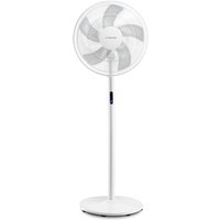Design-Standventilator mit Fernbedienung tve 24 s 80° Oszillation 48 w - Trotec von TROTEC
