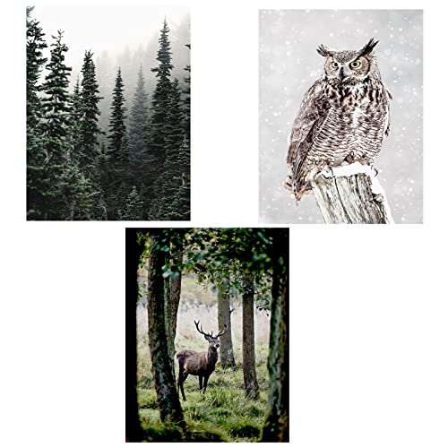 TROYSINC 3er Premium Poster Set, Moderne Natur Winter Landschaft Wandbilder Leinwandbilder, Ohne Rahmen Kunst Wald Bilder Wanddecor für Wohnzimmer (Stil B,50 x 70 cm) von TROYSINC