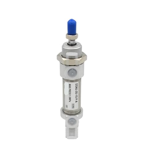 DSNU12 runder Mini-Pneumatikzylinder aus Edelstahl DSNU-12-20-PA DSNU-12-20-PPV-A(DSNU-12-125) von TRRKNRYGP