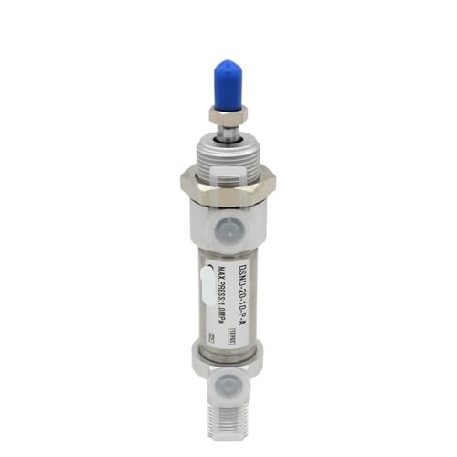 DSNU16 runder Mini-Pneumatikzylinder aus Edelstahl DSNU-16 Hub 10-200mm DSNU-16-30-PA DSNU-16-20-PPV-A(DSNU-16-60) von TRRKNRYGP