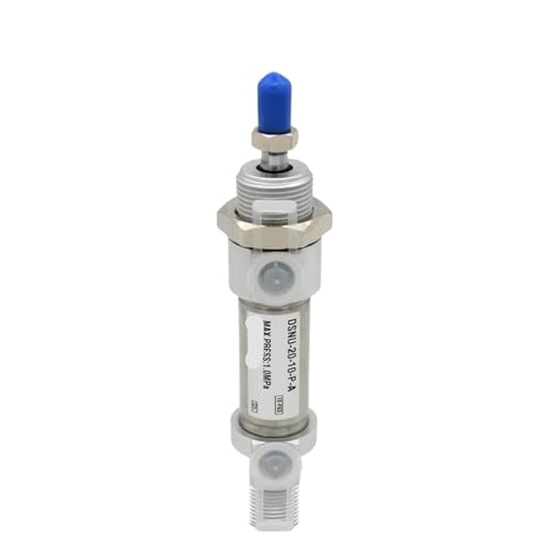 DSNU20 runder Mini-Luft-Pneumatikzylinder aus Edelstahl DSNU-20-20-PA DSNU20-30-PPV-A DSNU20-50-PA Hub 10-200mm(DSNU-20-40) von TRRKNRYGP