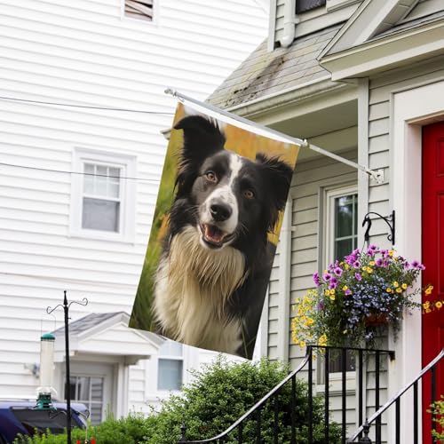 Flaggen-Banner, doppelseitige Gartenflaggen, lichtbeständig, für draußen, Willkommensflagge, Mohado, Border Collie, Hund, Grußbanner, personalisierte Urlaubsflagge für Partyhaus von TRSGKSQP