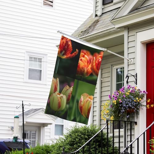 Flaggen-Banner, doppelseitige Gartenflaggen, lichtbeständig, für draußen, Willkommensflagge, Tulpen im Garten, Grußbanner, personalisierte Urlaubsflagge für Partyhaus von TRSGKSQP