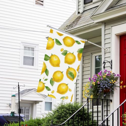 Flaggen-Banner, doppelseitige Gartenflaggen, lichtbeständig, für draußen, Willkommensflagge, gelbe Zitrone, Grußbanner, personalisierte Urlaubsflagge für Partyhaus von TRSGKSQP