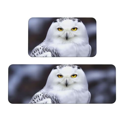 TRSGKSQP Arctic Owl Küchenmatten für Boden, Küchenteppiche, 2er-Set, rutschfeste gepolsterte Bodenmatte, Teppich, saugfähig, waschbar, Läufer, Stehmatte für Waschtisch, 43 x 75 cm + 43 x 120 cm von TRSGKSQP