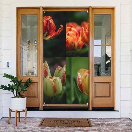 Welcome Spring Door Cover Large Hanging Banner Tulpen in the Garden Welcome Veranda Sign French Privacy Door Window Curtains Photography Background Seasonal Outdoor Decoration Welcome Spring Door Cover Large Hanging Banner Tulpen in the Garden Welcome Veranda Sign French Privacy Door Window Curtains Photography Background Seasonal Outdoor Decoration von TRSGKSQP
