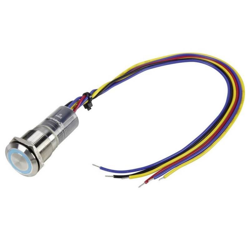 TRU COMPONENTS Schalter Druckschalter LAS1-GQ-11E 1303047, flach TRU COMPONENTS Schalter Druckschalter LAS1-GQ-11E 1303047, flach von TRU COMPONENTS