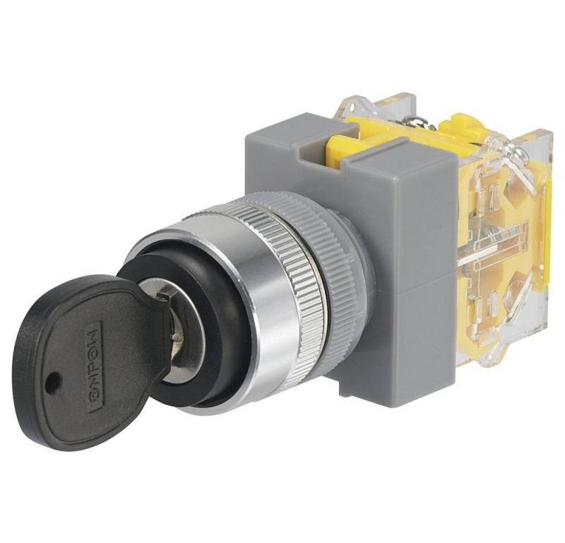 TRU COMPONENTS Schalter TRU COMPONENTS 704536 Y090-A-20Y/33 Schlüsselschalter 250 V/AC 5 A 2 x (Y090-A-20Y/33) von TRU COMPONENTS
