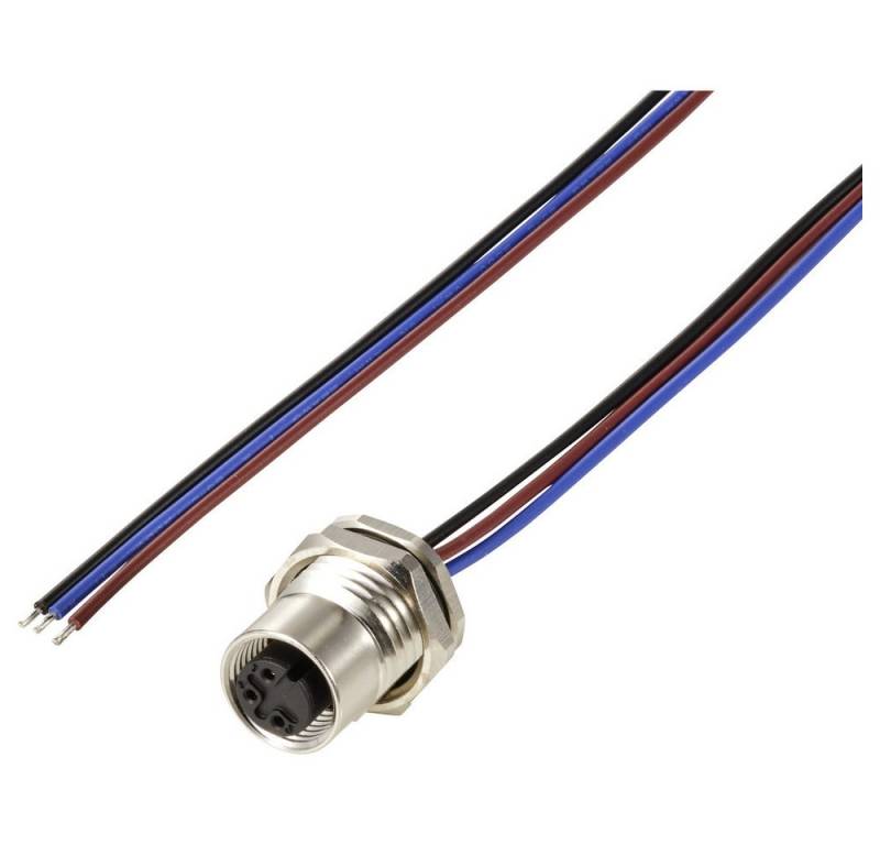 TRU COMPONENTS Steckdose TRU COMPONENTS TC-12833056 Sensor/Aktor Einbaubuchse M12 Buchse, Einba, TC-12833056 von TRU COMPONENTS