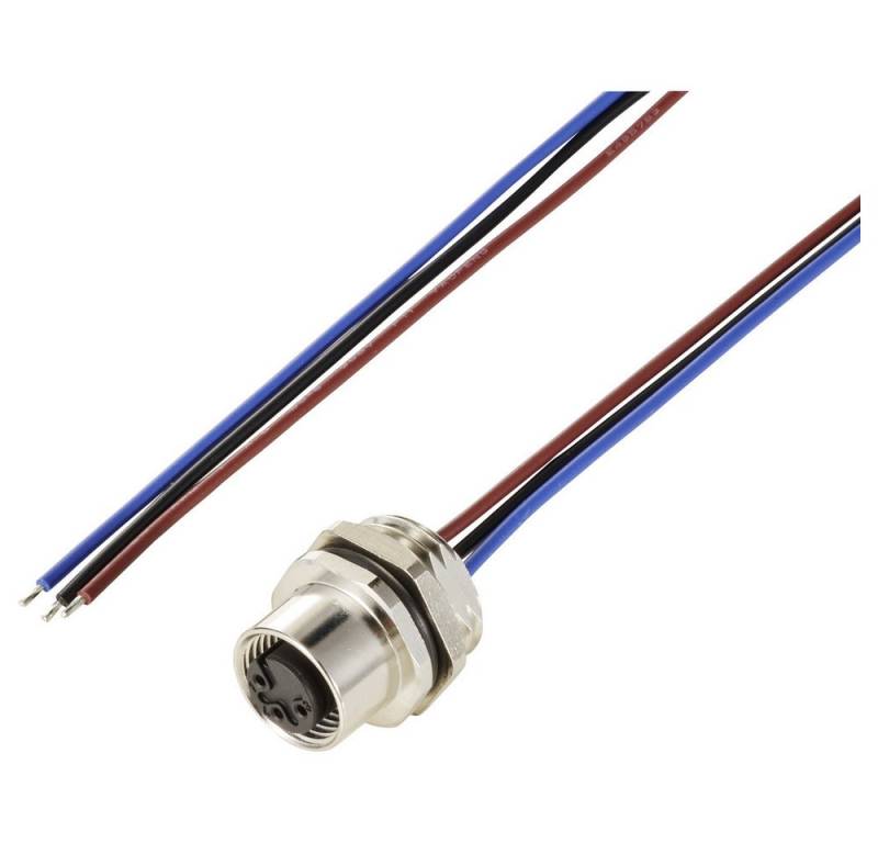 TRU COMPONENTS Steckdose TRU COMPONENTS TC-12833212 Sensor/Aktor Einbaubuchse M12 Buchse, Einba, TC-12833212 von TRU COMPONENTS