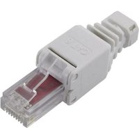 RJ45-Stecker, Cat 6 Tru Components 1515263 RJ45-Stecker, gerade grau 1 Stk. S935821 von TRU Components
