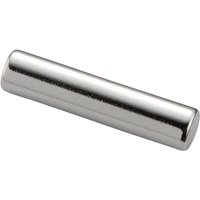 Tru Components - TC-12260104 Permanent-Magnet Stab (ø x h) 5 mm x 22 mm Grenztemperatur (max.): 100 von TRU Components