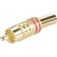 TRU COMPONENTS TC-2518024 Cinch-Steckverbinder Stecker, gerade Polzahl (num): 2 Rot 50St. von TRU Components