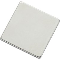 TRU COMPONENTS N35-202002 1564098 Magnet-Pad N35-202002 Silber (L x B) 20 mm x 20 mm 1 St. von TRU Components