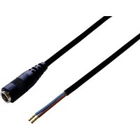 TRU COMPONENTS TC-2516074 Niedervolt-Anschlusskabel Niedervolt-Buchse - offene Kabelenden 5.5mm 2.5m von TRU Components