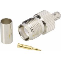 TRU COMPONENTS TC-2520029 TNC-Reverse-Steckverbinder Buchse, gerade 50Ω 100St. von TRU Components