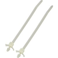 TRU Components 1592822 TC-PCV155203 Kabelbinder 157mm 3.50mm Natur mit Spreizanker von TRU Components