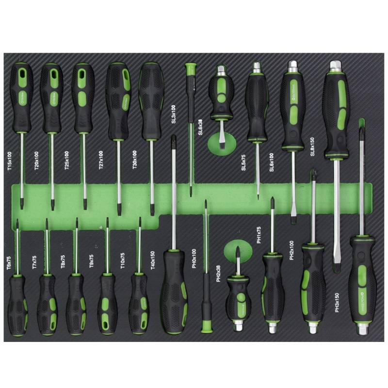 TRUTZHOLM Profi Werkstattwagen Einlage Schraubendreher 21 Teile Sortiment Schaum 515x395x40mm Grün TRUTZHOLM Profi Werkstattwagen Einlage Schraubendreher 21 Teile Sortiment Schaum 515x395x40mm Grün von TRUTZHOLM