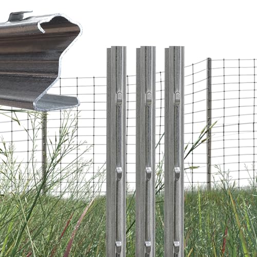 TRUTZHOLM 10x Z-Profil Zaunpfosten 200 cm feuerverzinkt Zaunpfähle 1,5 mm Stärke gestanzte Haken Forstprofil von TRUTZHOLM