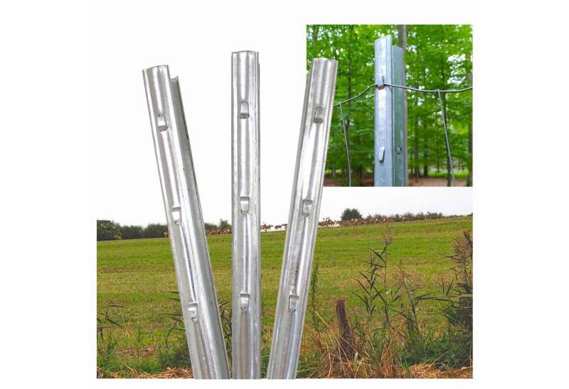 TRUTZHOLM Zaunpfosten Z-Profil Zaunpfosten 2 m verzinkt 10x Zaunpfähle inkl. Haken Forstprof, (10-St) von TRUTZHOLM