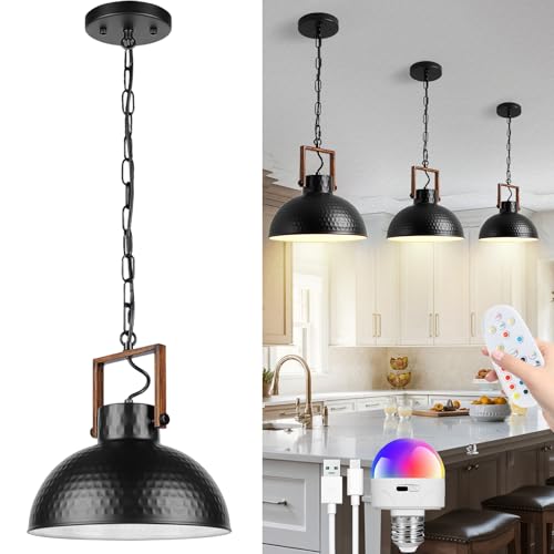 TRUYOK E27 Hängelampe mit Fernbedienung LED Akku Hängeleuchte RGB Moderne Batterie Deckenleuchte Dimmbar Deckenlampe aus Metall Pendelleuchte für Schlafzimmer Esszimmer Küche Restaurant von TRUYOK