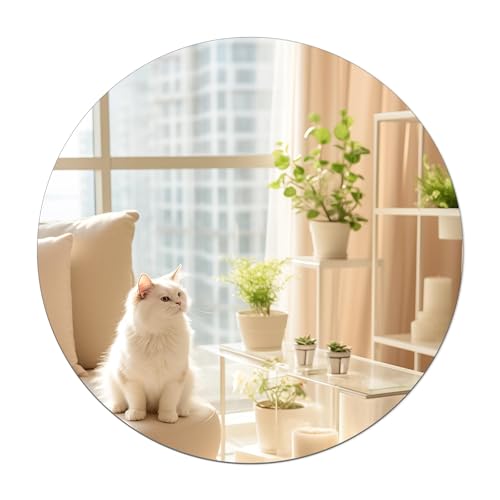 TSKDKIT 20cm Wandspiegel Rund Selbstklebender Glasspiegel HD Dekorative Wandspiegel Rahmenlos Spiegel Groß für Gäste WC, Badzimmer, Ankleidezimmer, Wohnzimmer etc von TSKDKIT