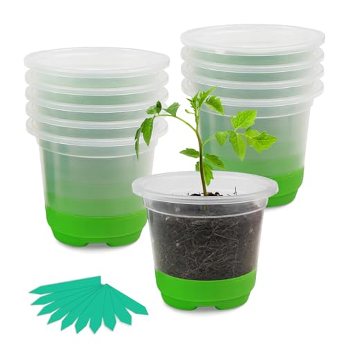 TSKDKIT Anzuchttöpfe Kunststoff dick, 10 Stück Ø10 cm Pflanzentöpfe klein mit Silikonboden für Einfaches Umpflanzen, Rund Blumentöpfe Transparent Pflanztöpfe für Sukkulenten, Samen, Setzlinge von TSKDKIT