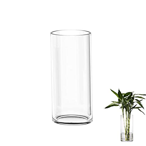 TSKDKIT Glas Blumenvase Modern Zylinder Vase, Handgemacht Kristall Vasen 20cm Hoch, Kerzenhalter Glas Blumenblume Pflanzenbehälter für Home Office Dekor, Glas Tischdeko, Geburtstagsgeschenk(20*10cm) von TSKDKIT