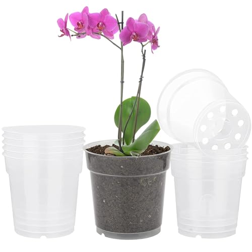 TSKDKIT 10 Stück Orchidee Pflanztöpfe Transparent Blumentopf Orchidee Anzuchttöpfe Verdicken töpfe Einpflanzen für Sämlinge Miniaturpflanzen Drinnen und Draußen von TSKDKIT