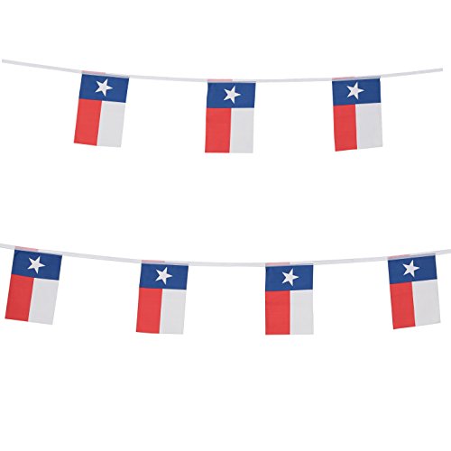 TSMD Texas Bundessta-Flagge, 30 m, klein, Mini-Banner, Texas TX einsamer Stern, Party-Dekorationen für Bar, Schule, Sportveranstaltung, internationale Festival-Feier von TSMD