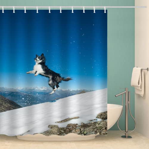 TSMMB Duschvorhang 240X200 Mit Motiv Border Collie Hund Antischimmel Wasserdicht Polyester Textil,Mit Ösen,Mit Kunststoffhaken,Gewichteter Saum,3D Badezimmer Duschvorhang,T2 von TSMMB