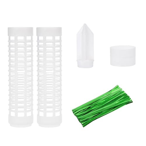 Bewässerungspflanze, Kletterpflanze, stapelbar, Netz, Moosstange, Stereotyp, grüne Dillsäule, Gartenstecker Bewässerungspflanze, Kletterpflanze, stapelbar, Netz, Moosstange, Stereotyp, grüne Dillsäule, Gartenstecker von TSMORY