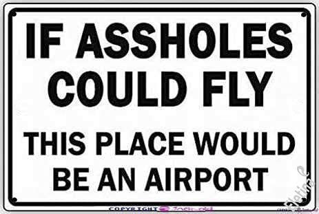 Metall-Blechschild mit Aufschrift "If Assholes Could Fly This Place Would Be an Airport Ridiculous", Sicherheitsschild für den Außenbereich, Warnung, Dekoration, 20,3 x 30,5 cm, Aluminiumschild Metall-Blechschild mit Aufschrift "If Assholes Could Fly This Place Would Be an Airport Ridiculous", Sicherheitsschild für den Außenbereich, Warnung, Dekoration, 20,3 x 30,5 cm, Aluminiumschild von TSOSK