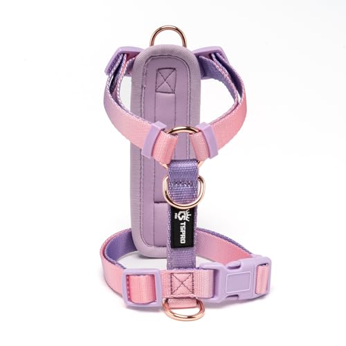 TSPRO Hundegeschirr Kleine Hunde, No Pull Hundegeschirr Leichtes Gewicht Adjustierbar Gradientfarbe Geschirr für Hunde mit Schnellspanner Atmungsaktiv und Langlebig (Lila Pink, Größe 1) von TSPRO
