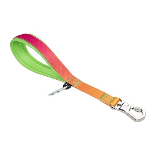 TSPRO Trainingsleine für Hunde, Kurzführer Hund für Große Hunde, mit Starkem Metallverschluss und Gepolstertem Griff, 36 cm Hundeleitband für Spaziergänge (Orange - Rot - Farbenverlauf) von TSPRO