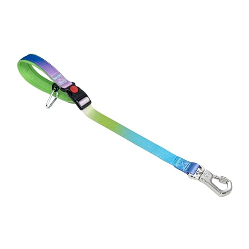 TSPRO Trainingsleine für Hunde, Kurzführer Hund für Große Hunde, mit Starkem Metallverschluss und Gepolstertem Griff, 51 cm Verstellbare Hundeleitband für Spaziergäng (Regenbogen Farbenverlauf) von TSPRO