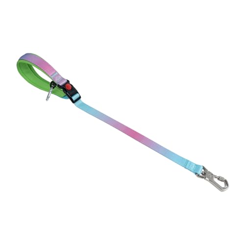 TSPRO Trainingsleine für Hunde, Kurzführer Hund für Große Hunde, mit Starkem Metallverschluss und Gepolstertem Griff, 66 cm Verstellbare Hundeleitband für Spaziergäng (Blau - Rosa - Farbenverlauf) von TSPRO